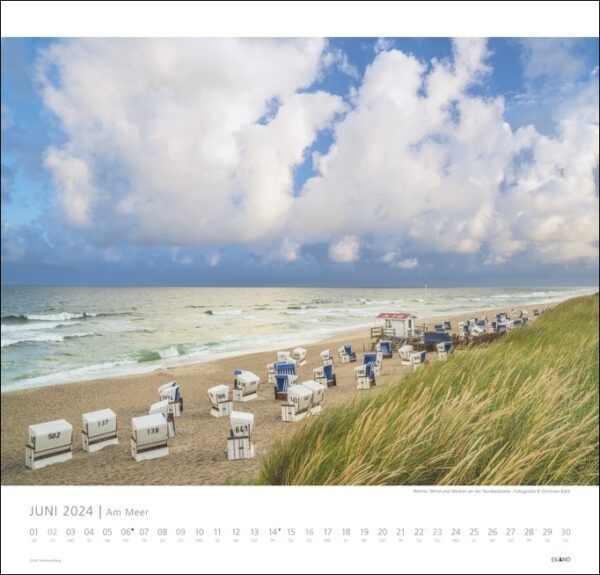 Am Meer 2024: Ein Bild eines Strandes mit Stühlen und Sonnenschirmen.