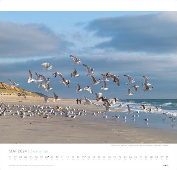 Ein Die Insel Sylt-Kalender 2024 mit Möwen, die anmutig über den malerischen Strand der Insel Sylt fliegen.