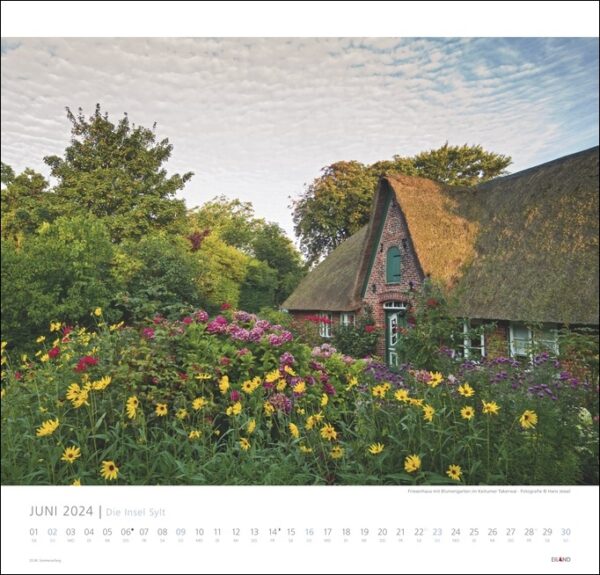 Ein Die Insel Sylt-Kalender 2024 mit einem malerischen Reetdachhaus und leuchtenden Blumen auf der Insel Sylt.