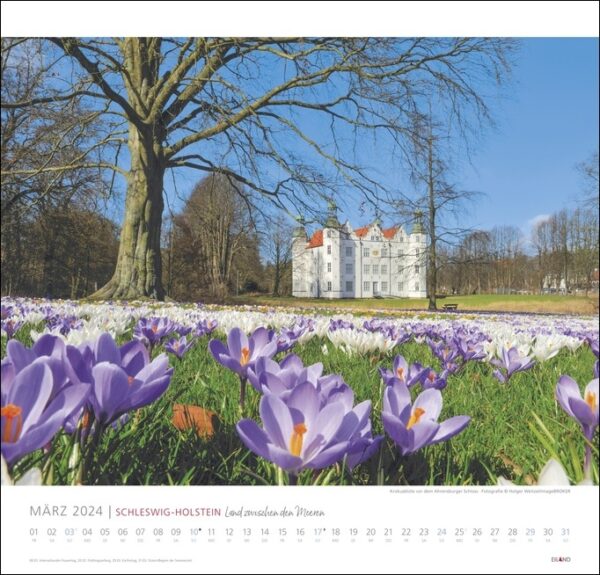 Ein Kalender mit lila Krokussen vor einem Schloss in Schleswig-Holstein 2024.