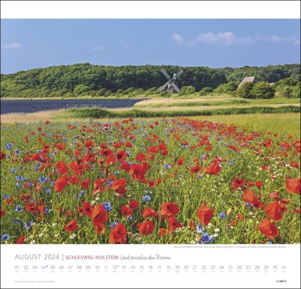 Ein Kalender mit roten Blumen und einer Windmühle in Schleswig-Holstein, Schleswig-Holstein 2024.