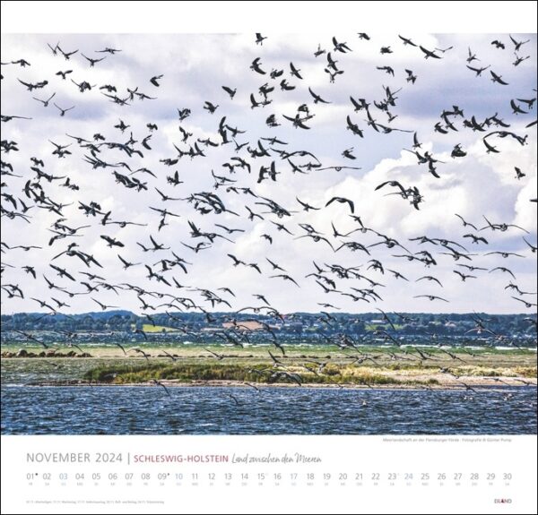 Ein Kalender mit Vögeln in Schleswig-Holstein 2024, die im Jahr 2024 anmutig über ein Gewässer fliegen.
