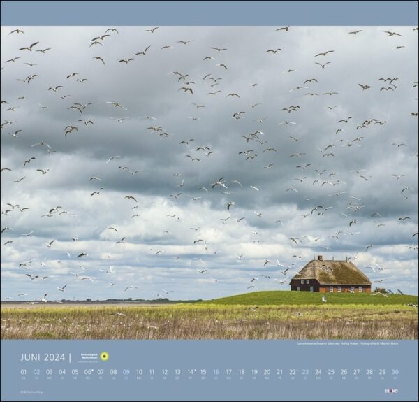Ein Kalender mit der atemberaubenden Landschaft des Nationalparks Wattenmeer 2024, mit Vögeln, die anmutig über einem malerischen Haus fliegen.