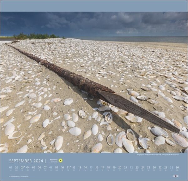 Ein Nationalpark Wattenmeer 2024, der die Schönheit des Wattenmeer-Nationalparks im Jahr 2024 zeigt, mit einem Holzpfahl, der fest am malerischen Strand verankert ist.