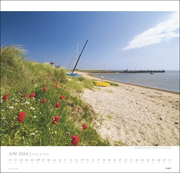 Ein malerischer Strand mit Boot und Blumen, umgeben von Inseln & Meer 2024 und dem weiten Meer.
