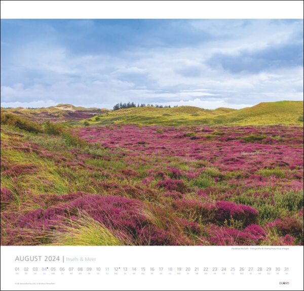 Ein Kalender mit lila Blumen und Inseln & Meer 2024 im Hintergrund.