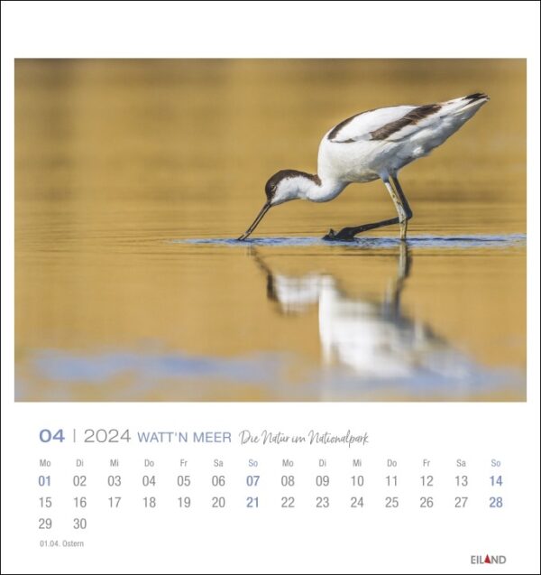 Ein Watt'n Meer - PostkartenKalender 2024 mit einem im Wasser stehenden Vogel.
