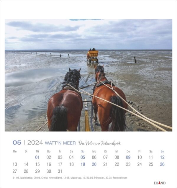 Ein Watt'n Meer - PostkartenKalender 2024 mit Pferden, die ein Boot im Wasser ziehen, vor der malerischen Kulisse von Watt'n Meer im Jahr 2024.