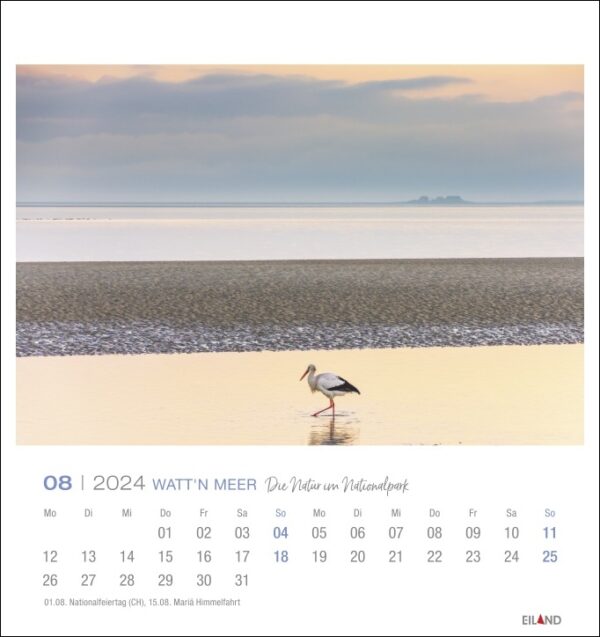 Ein Watt'n Meer - PostkartenKalender 2024 mit einem am Strand stehenden Vogel.