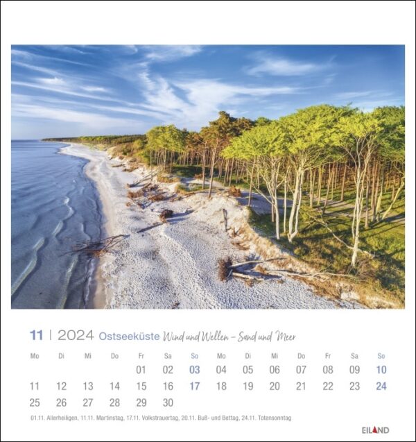 Ein Ostseeküste - PostkartenKalender 2024 mit Blick auf Strand und Bäume der Ostseeküste.