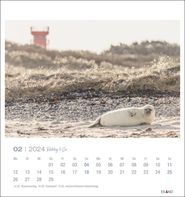 Ein Robby & Co. - PostkartenKalender 2024 mit Robby & Co., mit einem Seehund, der friedlich am Sandstrand liegt.