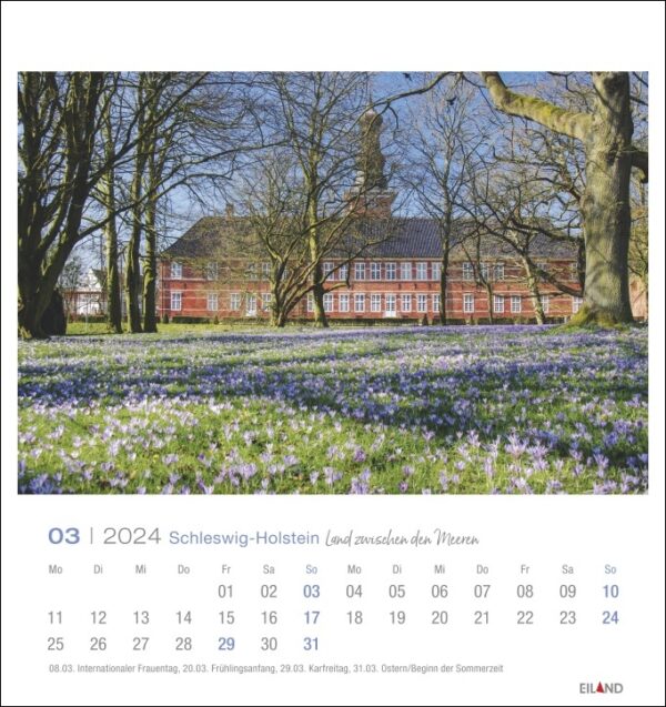Ein Schleswig-Holstein - PostkartenKalender 2024 mit lila Blumen und einem Gebäude im Hintergrund.