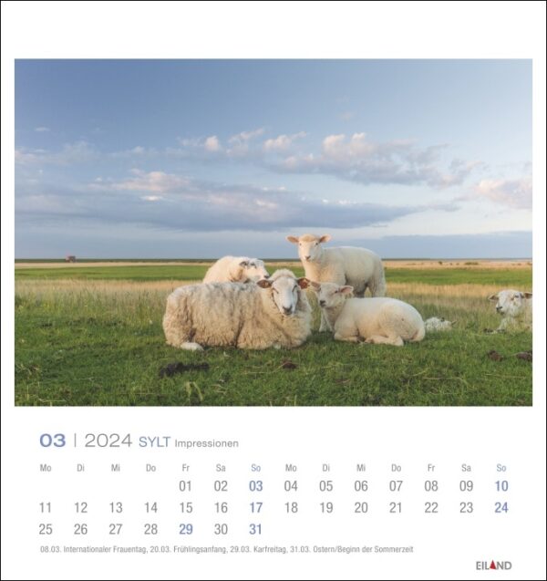 Beschreibung (geändert): Ein Sylt Impressionen - PostkartenKalender 2024 mit Schafen auf einem Feld, perfekt für das Jahr 2024.