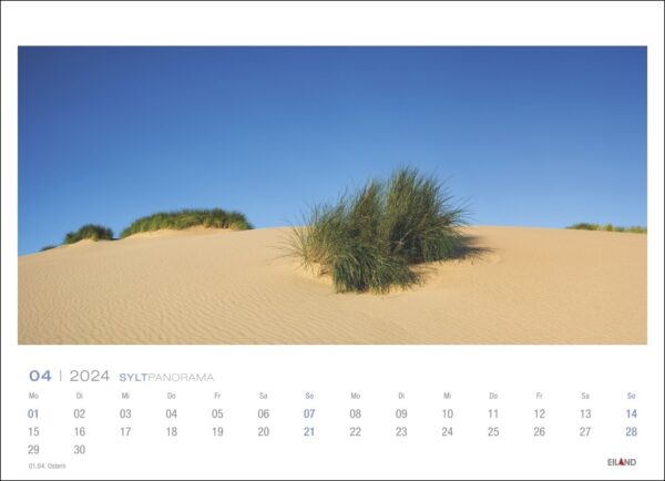Ein Sylt-Panorama 2024 mit den wunderschönen Sanddünen von Sylt vor einem ruhigen Hintergrund.