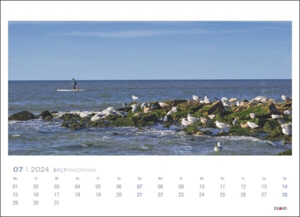 Ein Sylt-Panorama-Kalender 2024 mit Möwen auf den Felsen.