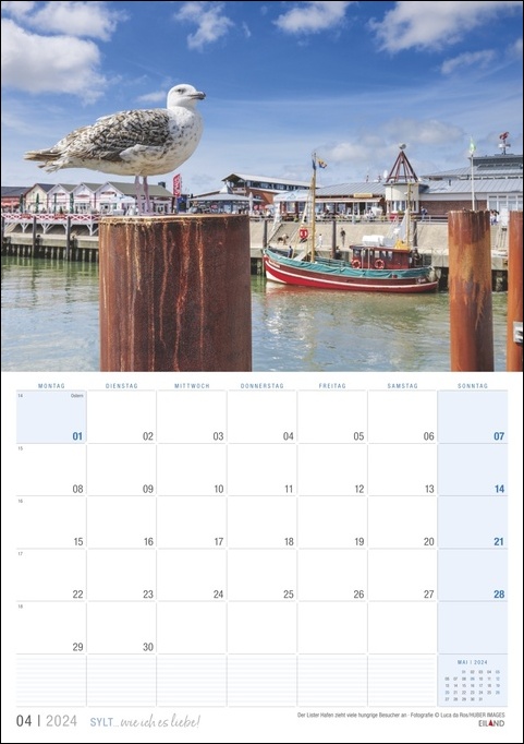 Ein Kalender mit einer Möwe, die auf einem Pfosten auf Sylt sitzt und die Schönheit Sylts widerspiegelt … wie ich es liebe im Jahr 2024.