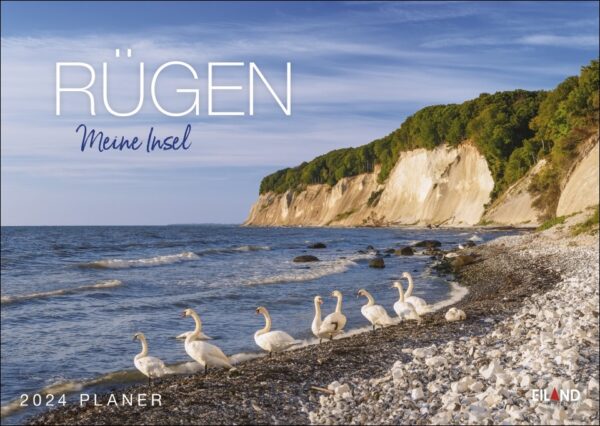 Auf dem Cover des Buches „Rügen …meine Insel 2024“ ist eine Gruppe Schwäne zu sehen.