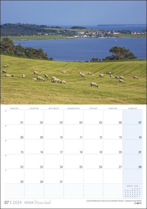 Ein Rügen …meine Insel-Kalender 2024 mit Schafen, die auf einer grünen Wiese auf Rügen, Deutschlands größter Insel, grasen.
