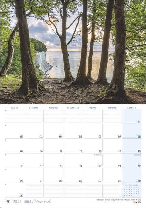 Ein Kalender mit Bäumen auf Rügen …meiner Insel 2024, der einen malerischen Blick auf das Meer bietet.