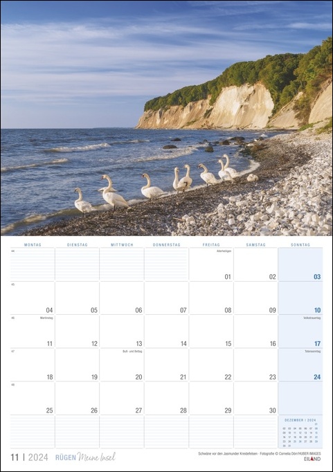 Ein Rügen … meine Insel 2024-Kalender mit Schwänen am Strand von Rügen, 2024.