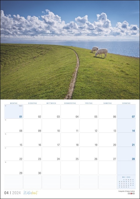 Ein Waterkant-Kalender 2024 mit grasenden Schafen auf einer Wiese und der malerischen Landschaft von Waterkant.