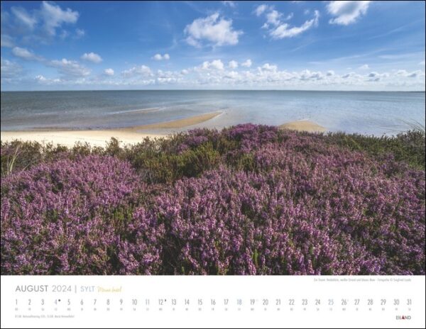 Ein Sylt – Meine Insel 2024 Kalender mit lila Blumen am Strand von Meine Insel.