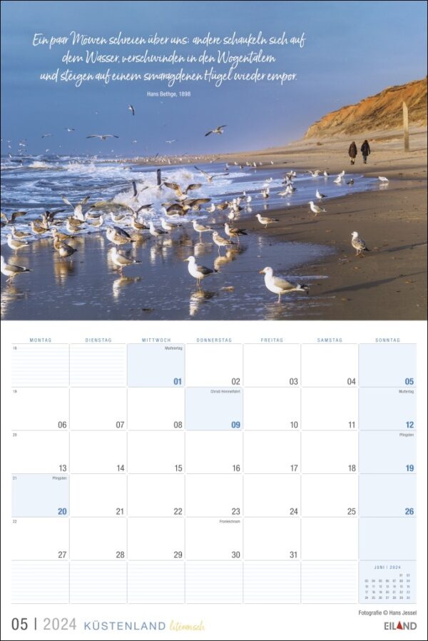 Ein literarischer Küstenland-Kalender für 2024, der die Essenz des Küstenlandes einfängt, geschmückt mit Möwen am Strand.