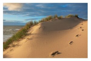 Fußabdrücke auf einer Küstenland-Sanddüne in der Nähe des Ozeans.
Produktname: Küstenland