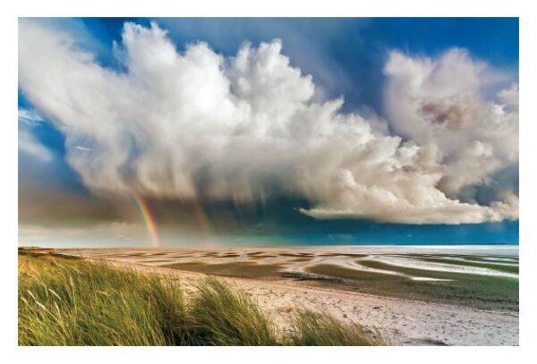 Ein Küstenlandstrand mit Gras und Sand, geschmückt mit einem wunderschönen Regenbogen.