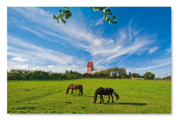 Zwei Pferde grasen auf einer Wiese mit Blick auf Meine Insel - Sylt - Blick auf St. Severin in Keitum.