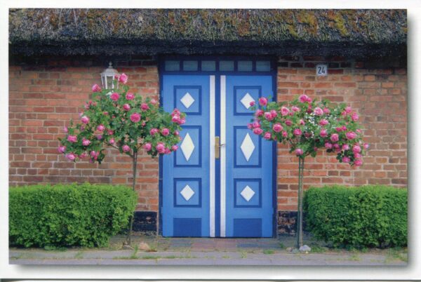 Ein Tür und Tor - Rügen mit rosa Blumen darauf.