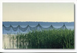 Ein Bild von Usedom - Meine Insel - Fischernetze am Achterwasser im Wasser bei Usedom - Meine Insel.
