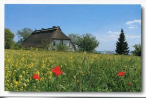 Ein Haus in Usedom - Meine Insel - Mönchow - Dorf an der Peene, ein Dorf auf der Insel Usedom, umgeben von roten Mohnblumen.