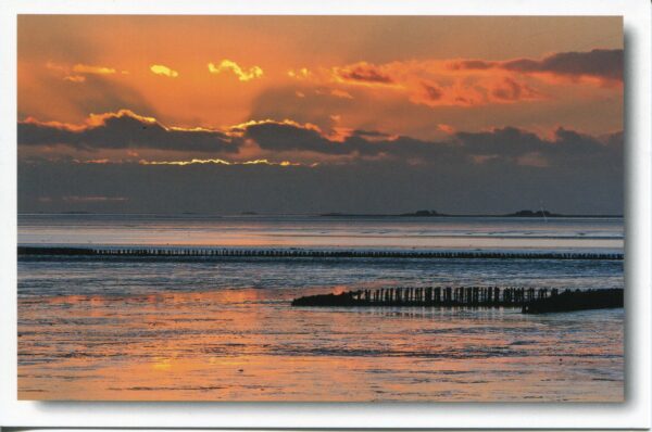 Das Watt´n Meer - Goldenes Abendlicht im Halligmeer erhebt sich über einem Gewässer und wirft ein goldenes Licht auf das Halligmeer.
