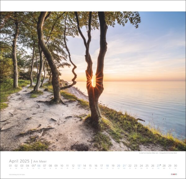 Ein heiterer Sonnenaufgang über einem ruhigen Meer, gesehen durch die verdrehten Äste schlanker Bäume entlang eines Sandstrands, mit einem sternförmigen Sonneneffekt am Horizont. Das Bild enthält einen Kalender von Am Meer 2025.