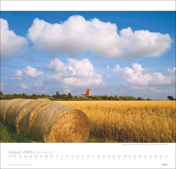 Eine Kalenderseite für „Die Insel Sylt“ 2025 mit einer ländlichen Landschaft mit goldenen Weizenfeldern und runden Heuballen unter einem blauen Himmel mit flauschigen Wolken.