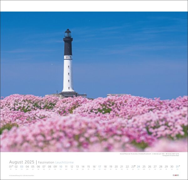 Eine Kalenderseite für „Faszination Leuchttürme – An den Grenzen der Landschaft 2025“ zum Thema „Leuchttürme“, mit einem großen schwarz-weißen Leuchtturm inmitten eines leuchtend rosa Blumenfelds unter einem klaren blauen Himmel.