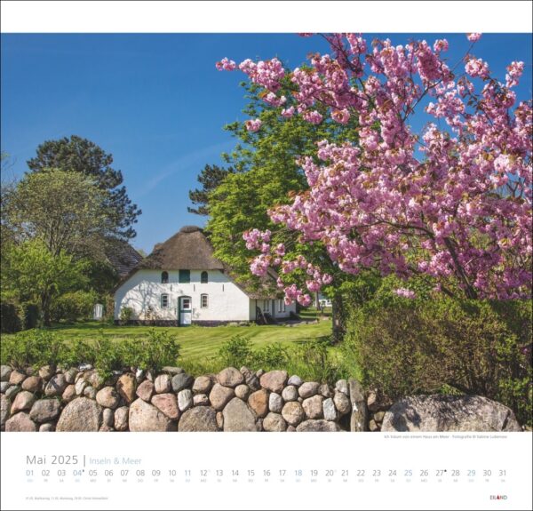 Eine Kalenderseite für Inseln & Meer 2025 mit einer malerischen Landschaft mit einem traditionellen weißen Reetdachhaus und einem blühenden rosa Kirschbaum unter einem klaren blauen Himmel. Eine Steinmauer verläuft über die