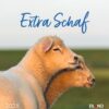 Eine Nahaufnahme von zwei Schafen, eines im Vordergrund, dessen Kopf sanft auf dem Kopf eines anderen im Hintergrund ruht, vor einer weichgezeichneten grünen Wiese unter klarem Himmel. Der Text Extra Schaf - PostkartenKalender 2025.