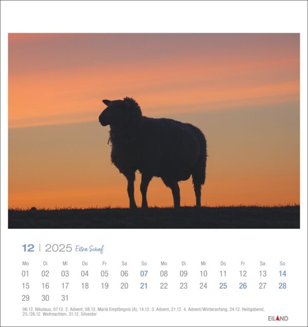 Die Silhouette eines Schafs steht am Horizont unter einem Himmel, dessen Farbe bei Sonnenuntergang von Orange zu Dunkelblau wechselt. Das Bild enthält unten einen Extra Schaf - PostkartenKalender 2025.