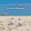 Zwei Küstenseeschwalben stehen an einem Sandstrand mit einem klaren blauen Himmel über ihnen und einem Leuchtturm in der Ferne. Der Text oben lautet „Watt'n Meer - PostkartenKalender 2025“ und „Kalender“.