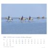 Drei Menschen reiten auf Pferden über ein flaches Gewässer bei klarem Himmel und in der Ferne eine Gruppe von Menschen in einem gelben Wagen, vor dem Motiv "Watt'n Meer - PostkartenKalender 2025"