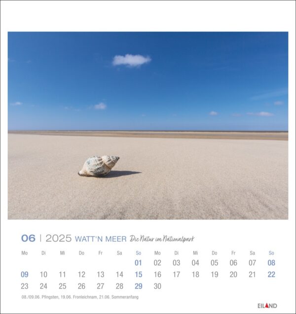 A Watt'n Meer - PostkartenKalender 2025 für Juni mit einer ruhigen Strandszene, mit einer großen Muschel auf Sand vor einem klaren blauen Himmel. Die Daten sind unten auf Deutsch ausgerichtet.