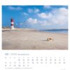Eine Nordseeküste - PostkartenKalender-Seite für den Mai 2025 mit einer ruhigen Strandszene an der Nordseeküste mit einem Leuchtturm und einer Robbe, die unter einem klaren blauen Himmel im Sand liegt.