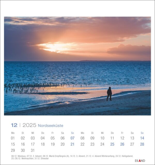 Eine Seite des Nordseeküste - PostkartenKalender 2025 für Dezember zeigt eine ruhige Strandszene bei Sonnenuntergang. Eine einsame Gestalt steht am Wasser und beobachtet einen Vogelschwarm am Ufer. Der Himmel und