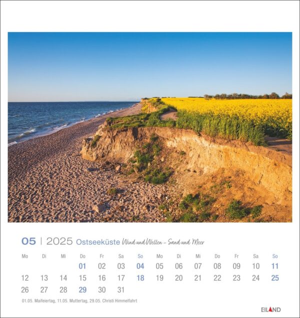 Eine Seite des Ostseeküste - PostkartenKalender 2025 für Mai zeigt eine malerische Aussicht auf eine Klippe mit Blick auf einen Strand mit einem blühenden gelben Feld auf der rechten Seite unter einem klaren blauen Himmel. Die Kalendertage sind unter dem Zeitplan aufgeführt.