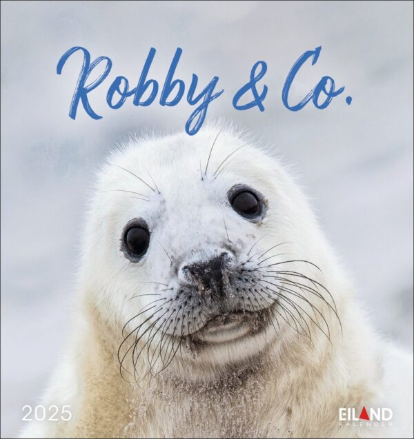 Eine Nahaufnahme eines weißen Robbenjungen mit einer Sandschicht auf der Nase, der direkt in die Kamera blickt. Das Bild zeigt oben den Text „Robby & Co.“ und Robby & Co. - PostkartenKalender 2025.