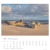 Auf einer Kalenderseite für Mai 2025 ist ein Foto von vier Robben zu sehen, die sich unter einem bewölkten Himmel an einem Sandstrand ausruhen, darüber ein Raster von Robby & Co. – PostkartenKalender 2025 mit Daten und Feiertagen.
