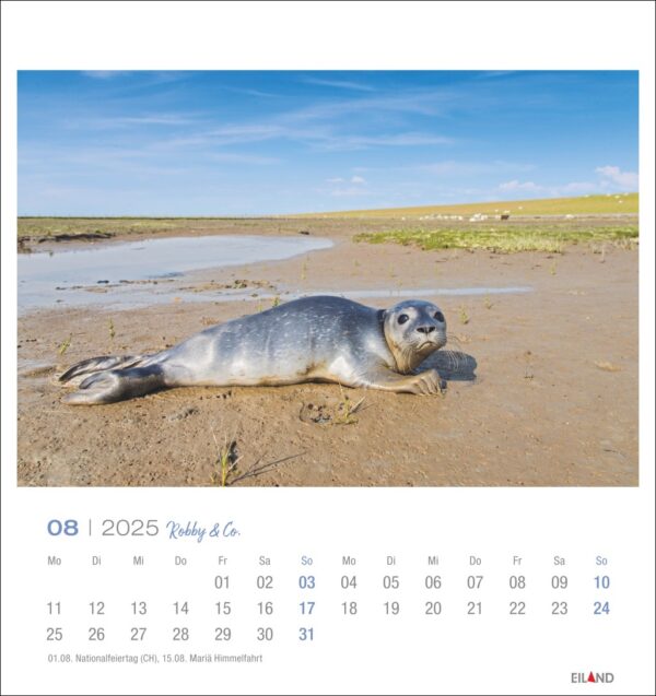 Eine Robbe liegt an einem Sandstrand mit blauem Himmel und einem entfernten Fluss. Unter dem Bild befindet sich ein August 2025 "Robby & Co. - PostkartenKalender 2025" in deutscher Sprache mit Tagen