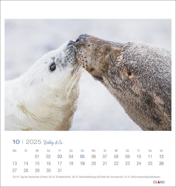 Eine Robby & Co. - PostkartenKalender-Seite für Oktober 2025 mit einem Foto von Robby, dem Eisbären, und einer Robbe, die sich vor einem schneebedeckten Hintergrund sanft die Nasen berühren. Die Daten sind übersichtlich unter dem Bild angeordnet.
